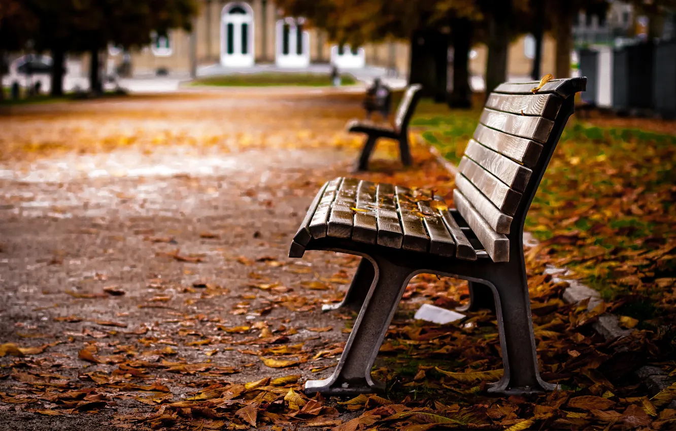 Фото обои осень, листья, скамейка, пасмурно, лавочка