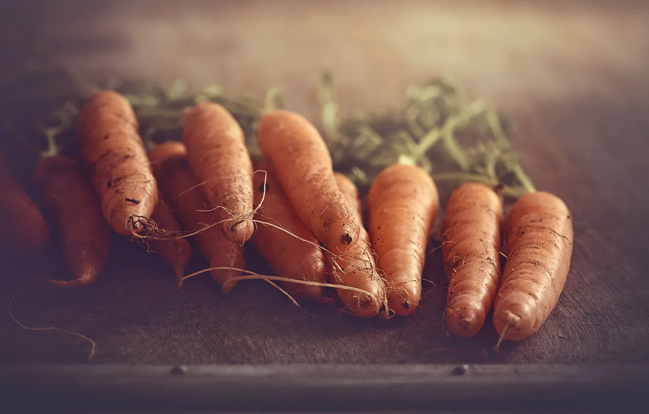 Фото обои еда, овощи, морковь