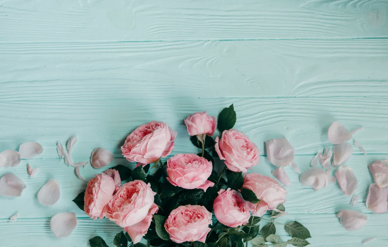 Фото обои фон, голубой, розы, лепестки, розовые