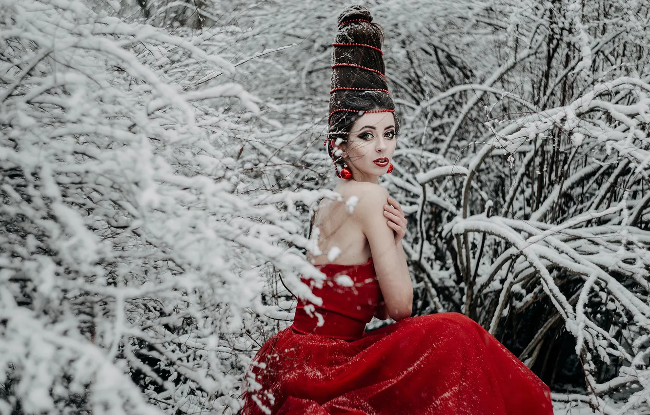 Фото обои зима, лес, взгляд, девушка, снег, природа, поза, стиль