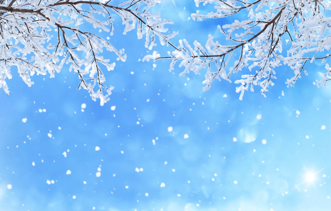 Фото обои зима, небо, снег, снежинки, ветки, блики, голубое