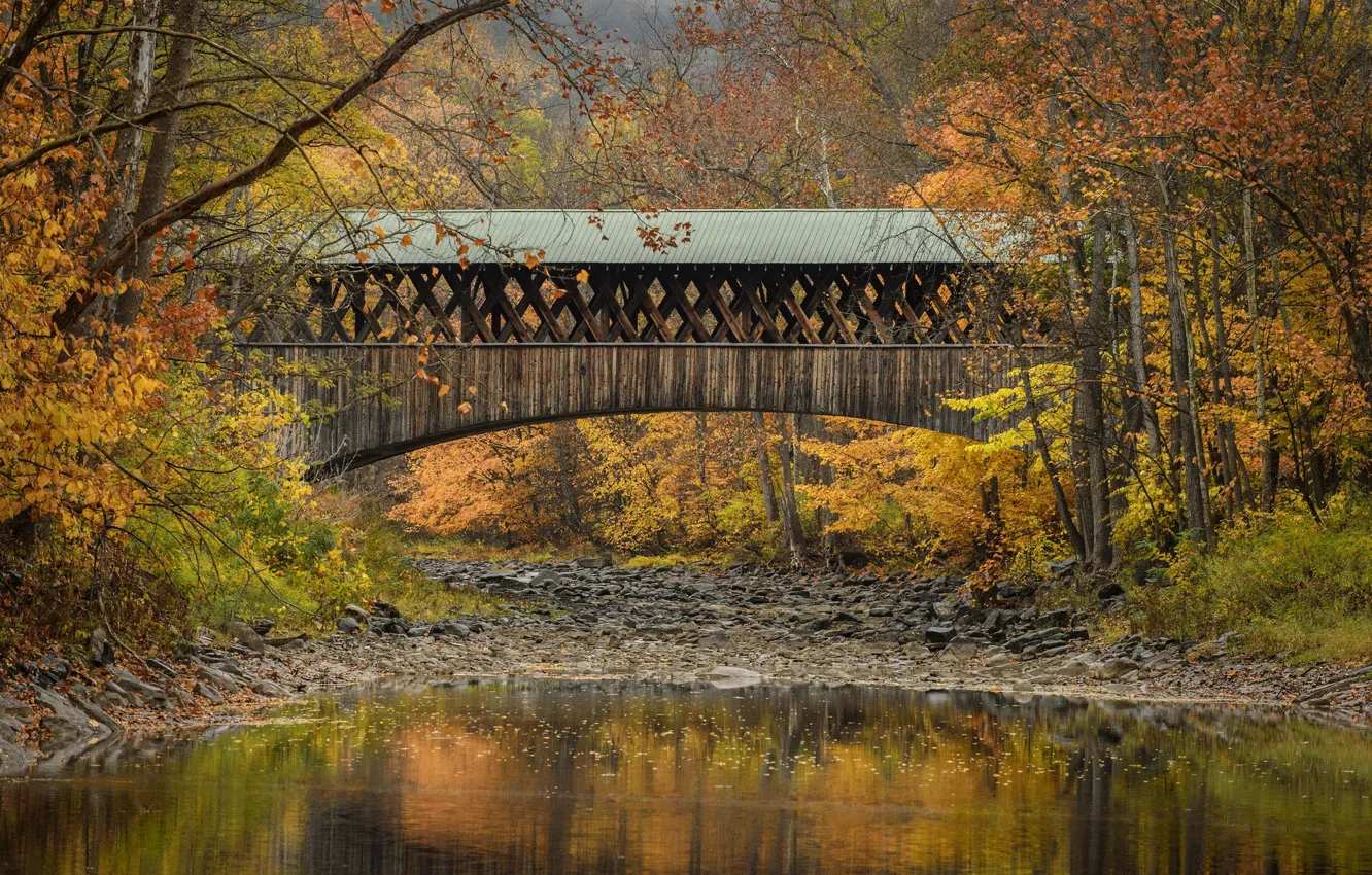 Фото обои осень, деревья, мост, река, Blenheim, State of New York