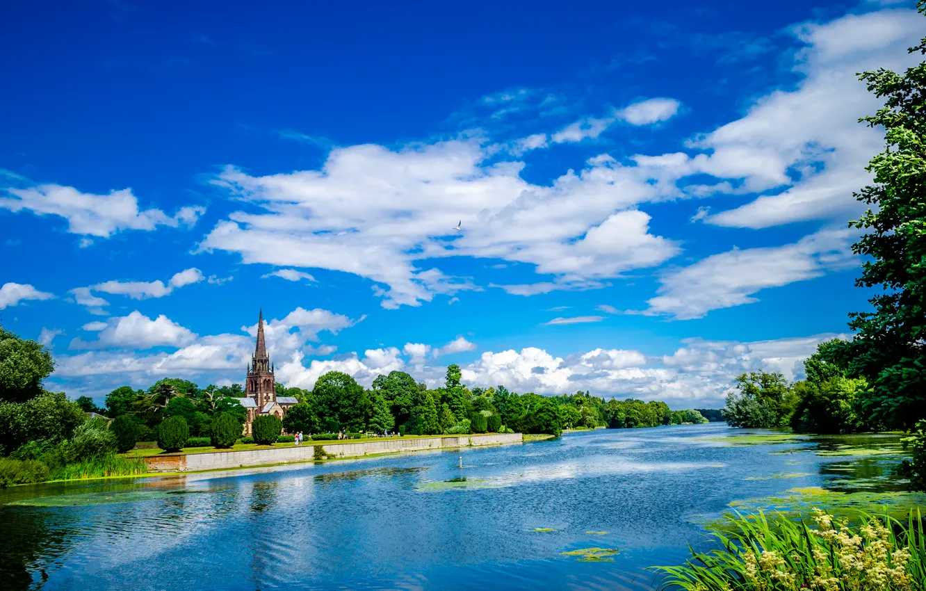 Фото обои зелень, небо, облака, деревья, озеро, чайка, церковь, в Clumber Park
