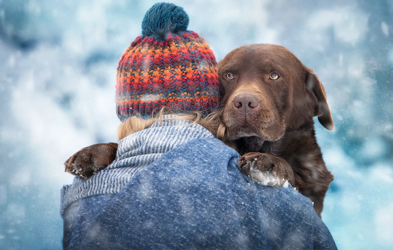Фото обои морда, девушка, снег, шапка, собака, Лабрадор-ретривер