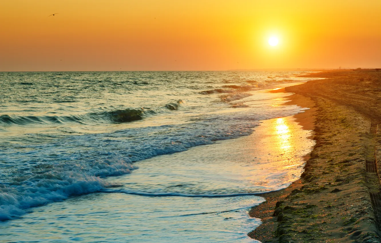Фото обои море, пляж, закат, beach, sea, sunset, seascape, beautiful