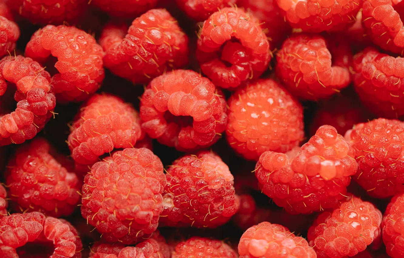 Фото обои ягоды, малина, красные, много, боке