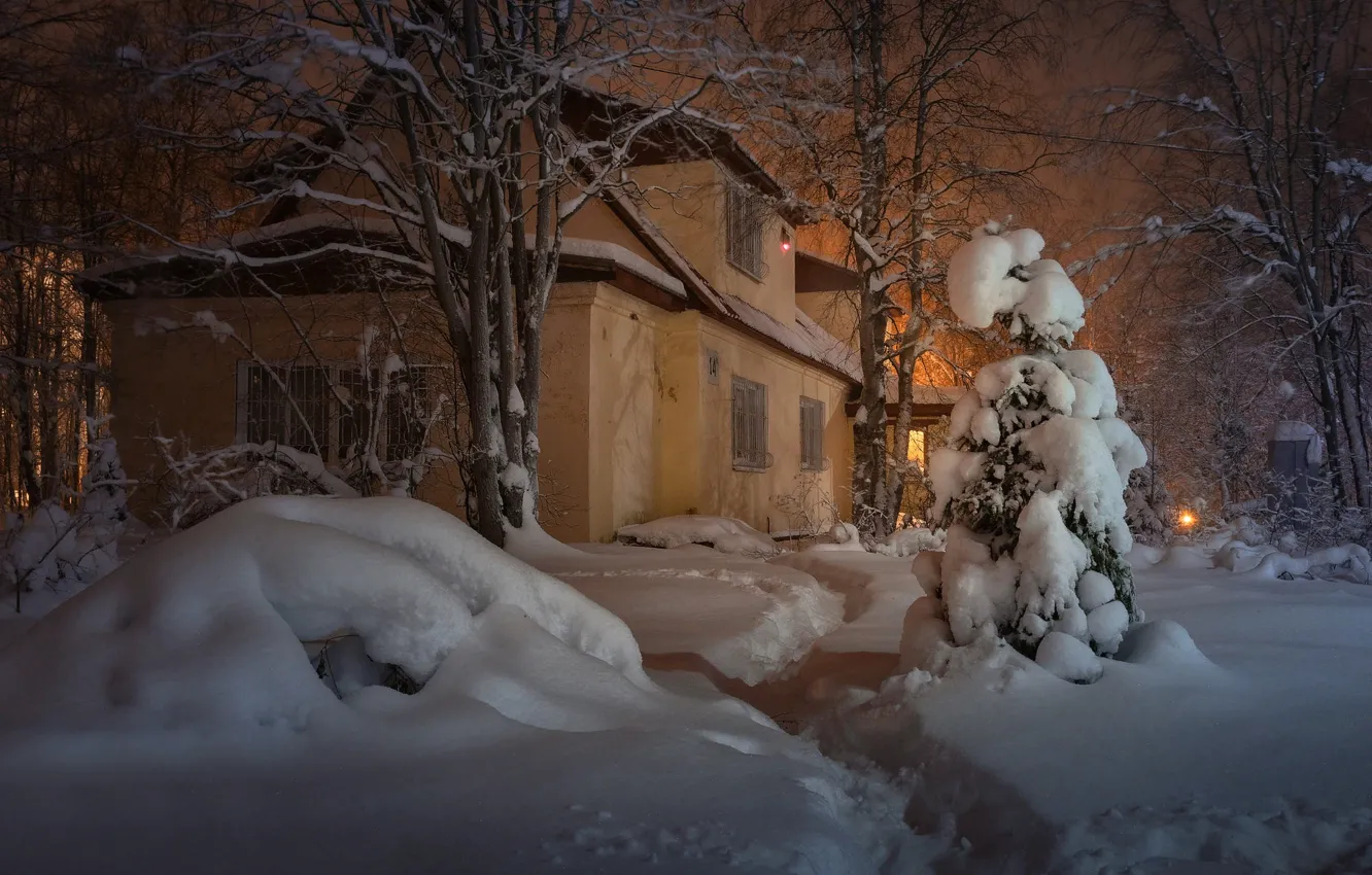 Фото обои зима, снег, деревья, пейзаж, дом, вечер, освещение, сугробы
