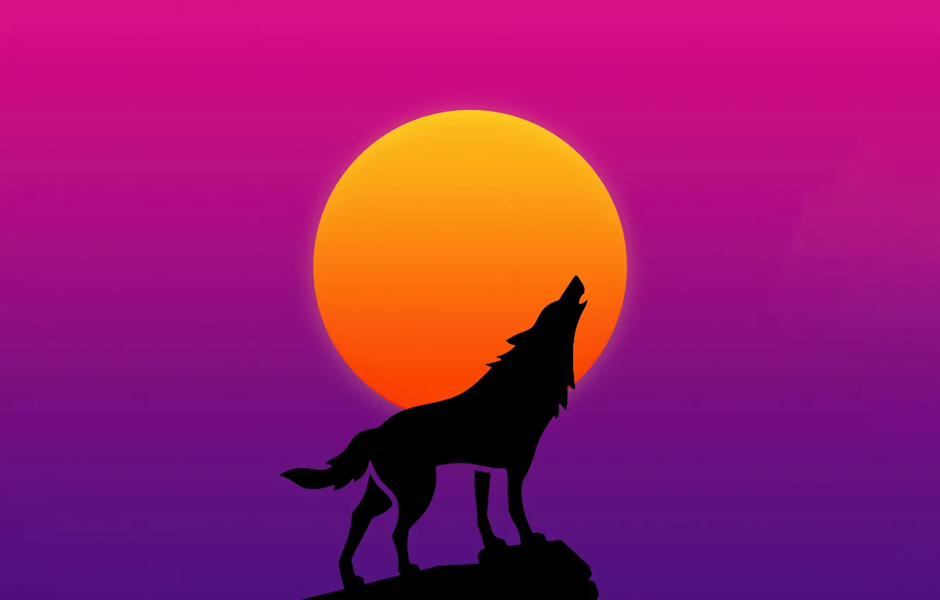 Фото обои животное, луна, волк, хищник, силуэт, moon, вой, predator
