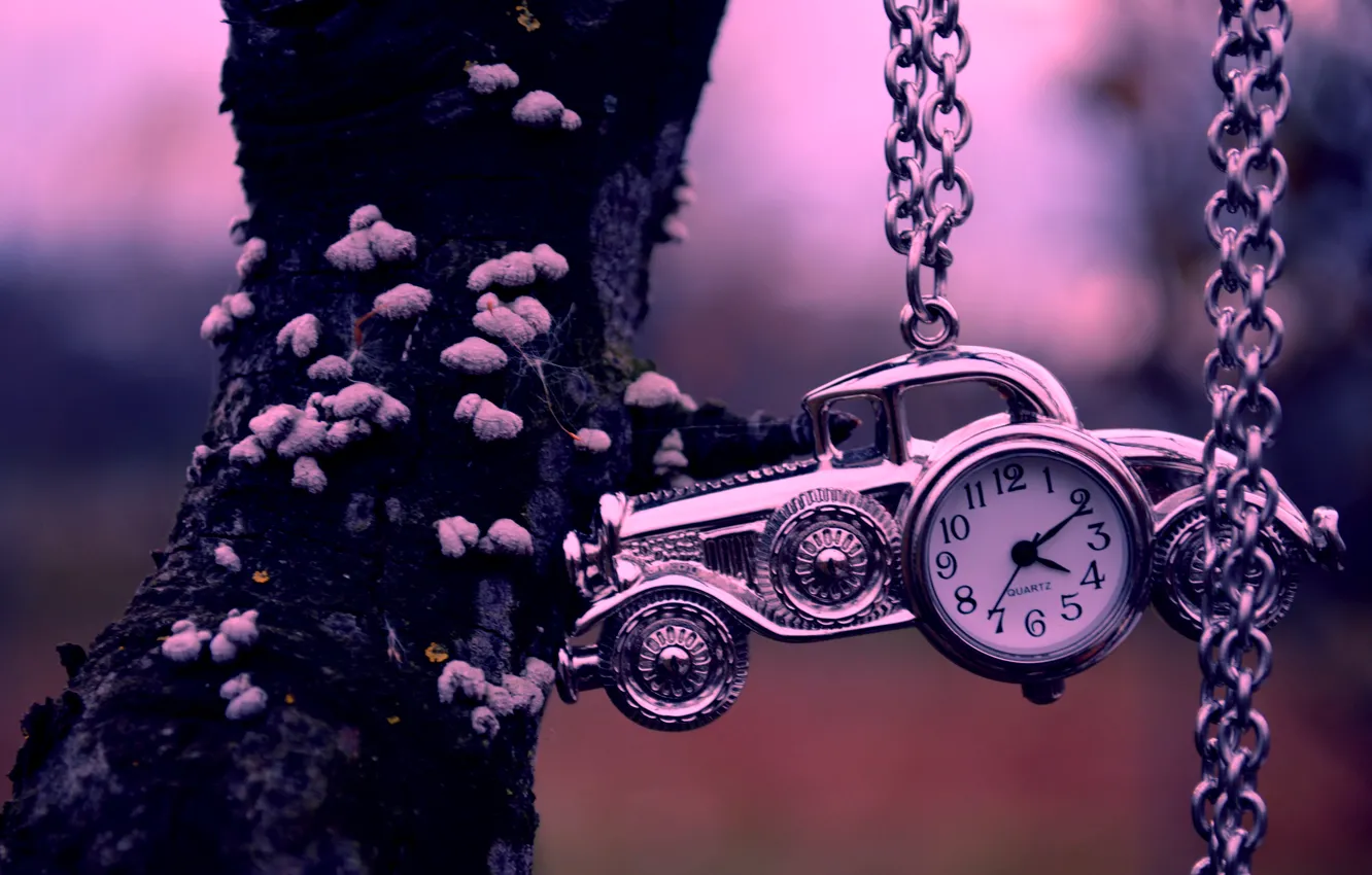 Фото обои машина, дерево, часы, цепочка, автомобиль