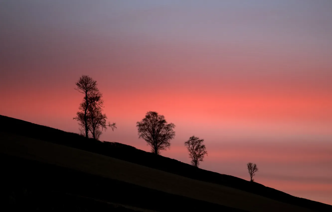Фото обои twilight, trees, sunset, hill, dusk, silhouettes