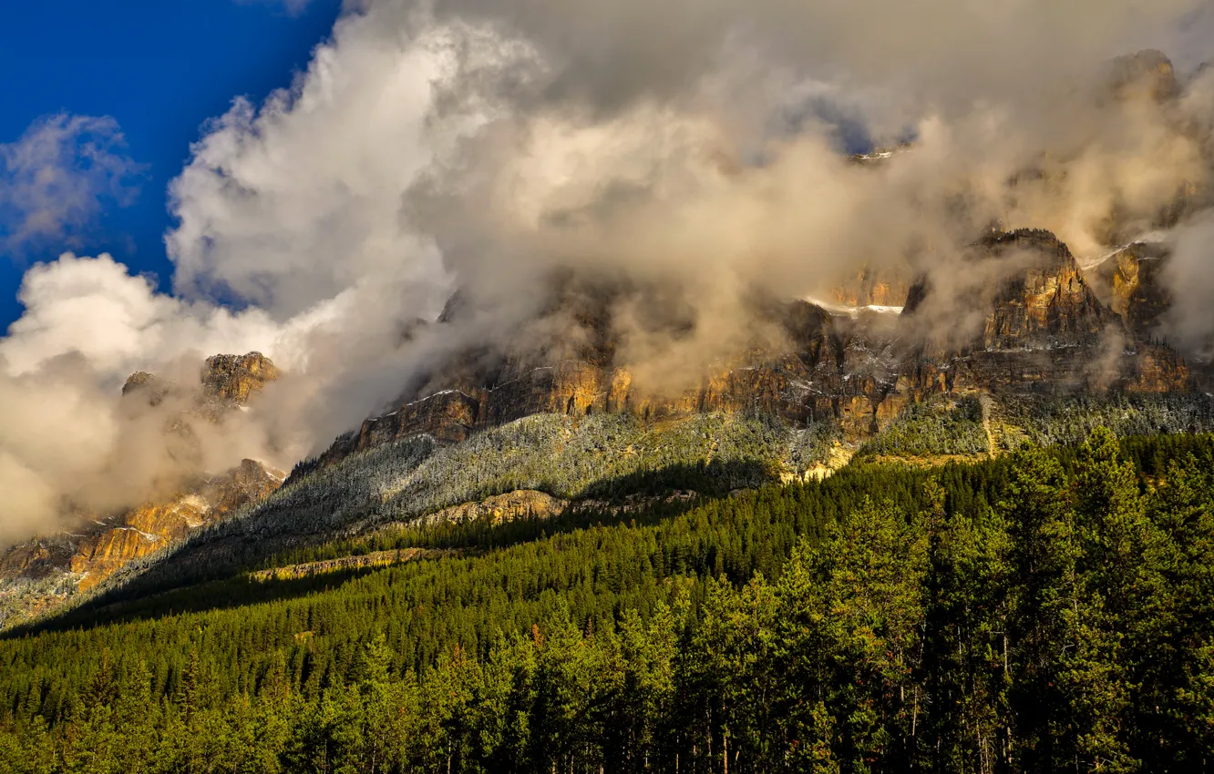 Фото обои лес, облака, деревья, горы, скалы, Канада, Banff National Park, Банф