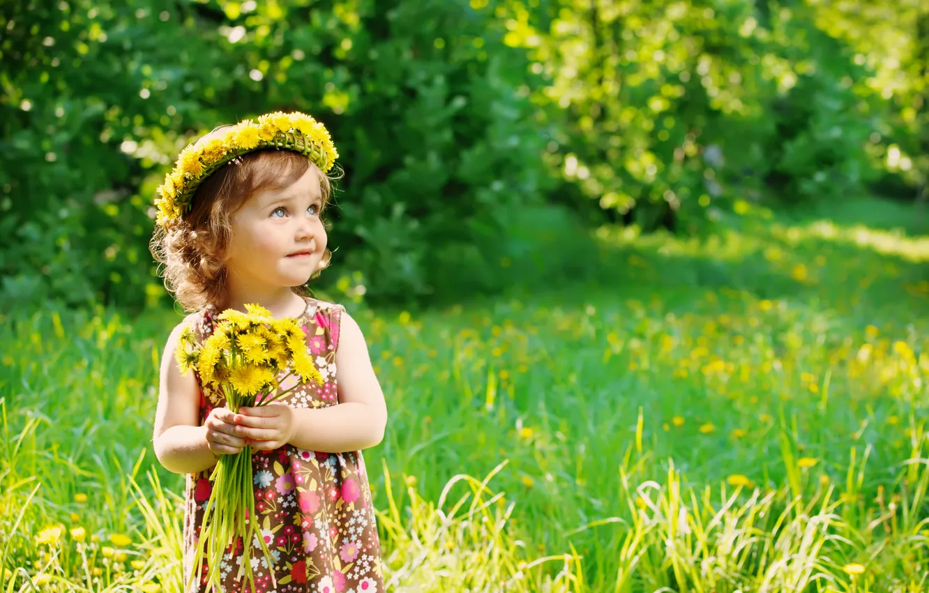 Фото обои лето, трава, ребенок, summer, одуванчики, flowers, dandelions, child