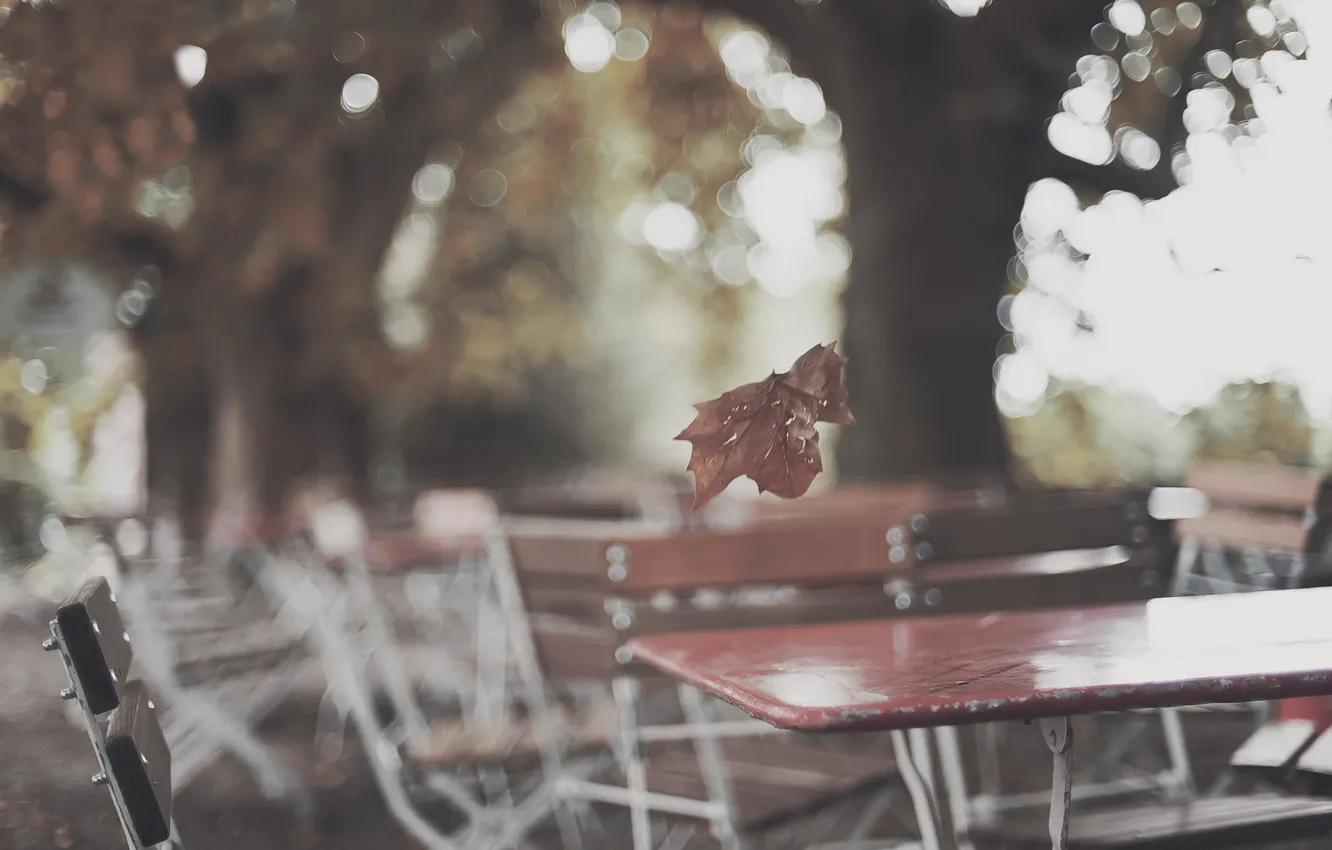 Фото обои осень, лист, блики, парк, дерево, кафе, столики