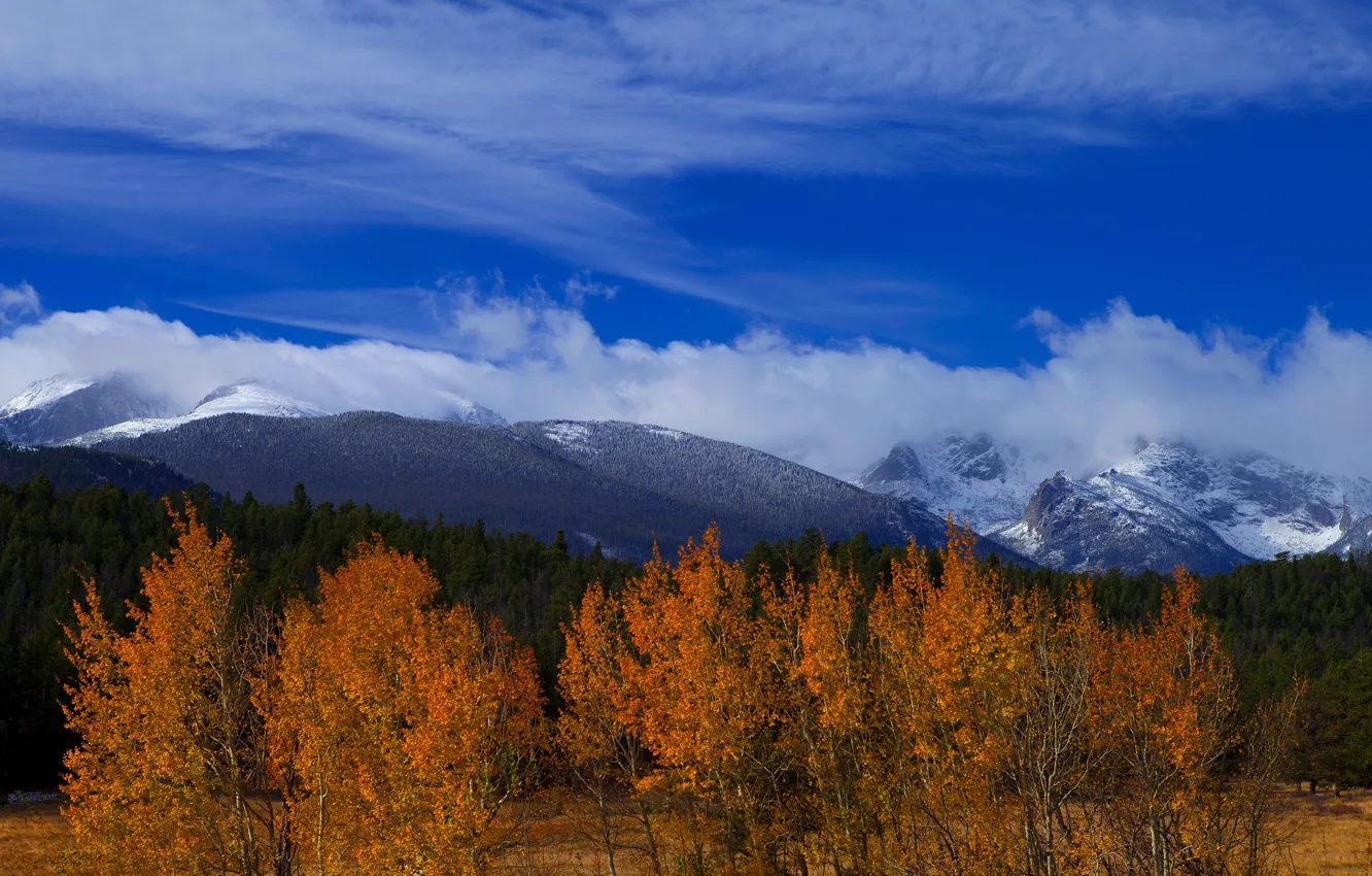 Фото обои осень, лес, небо, облака, деревья, горы, синева