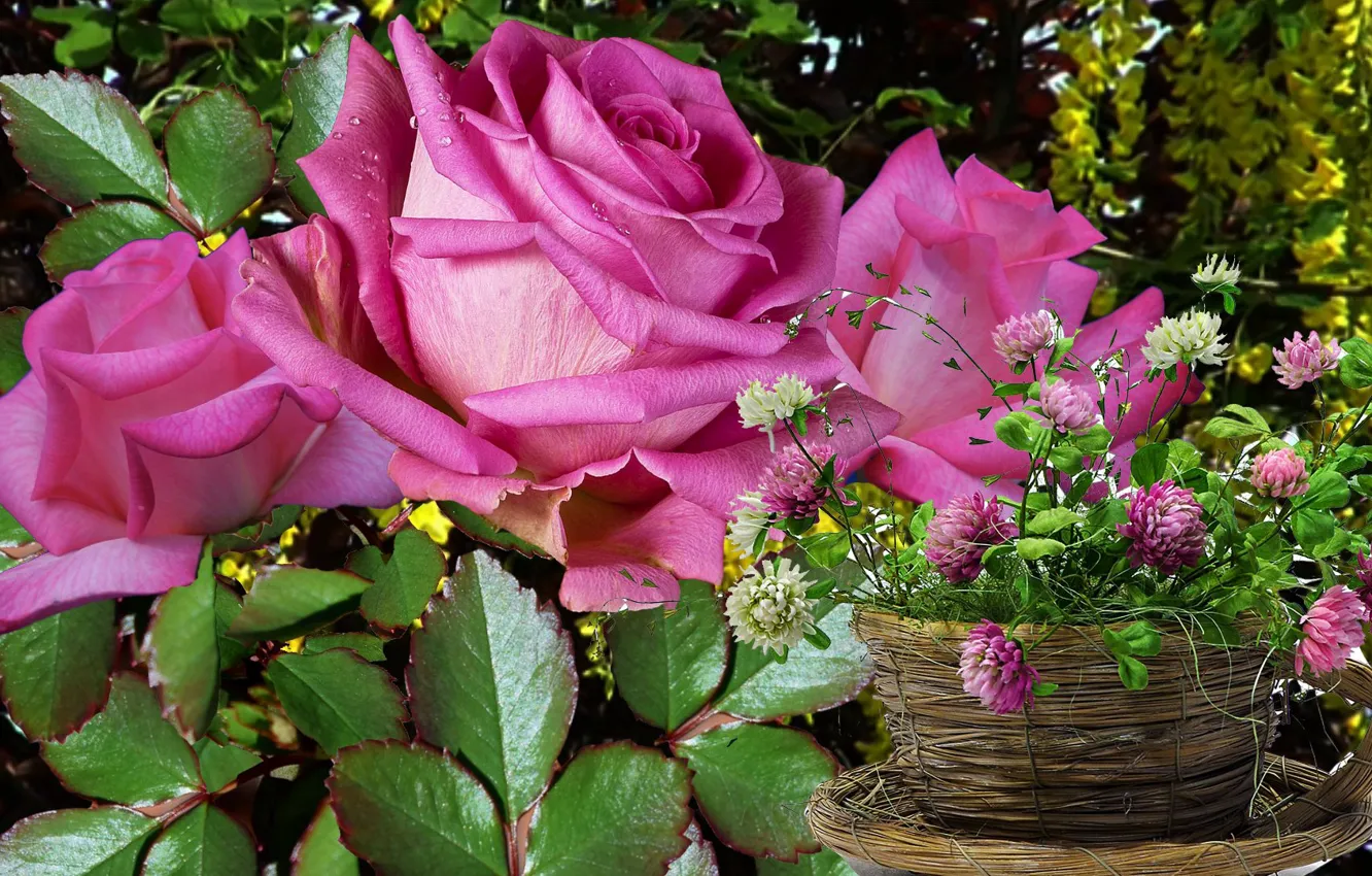 Фото обои цветы, роза, клевер