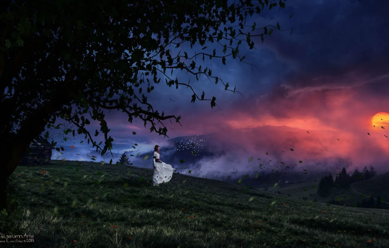 Фото обои трава, девушка, деревья, закат, Gene Raz von Edler