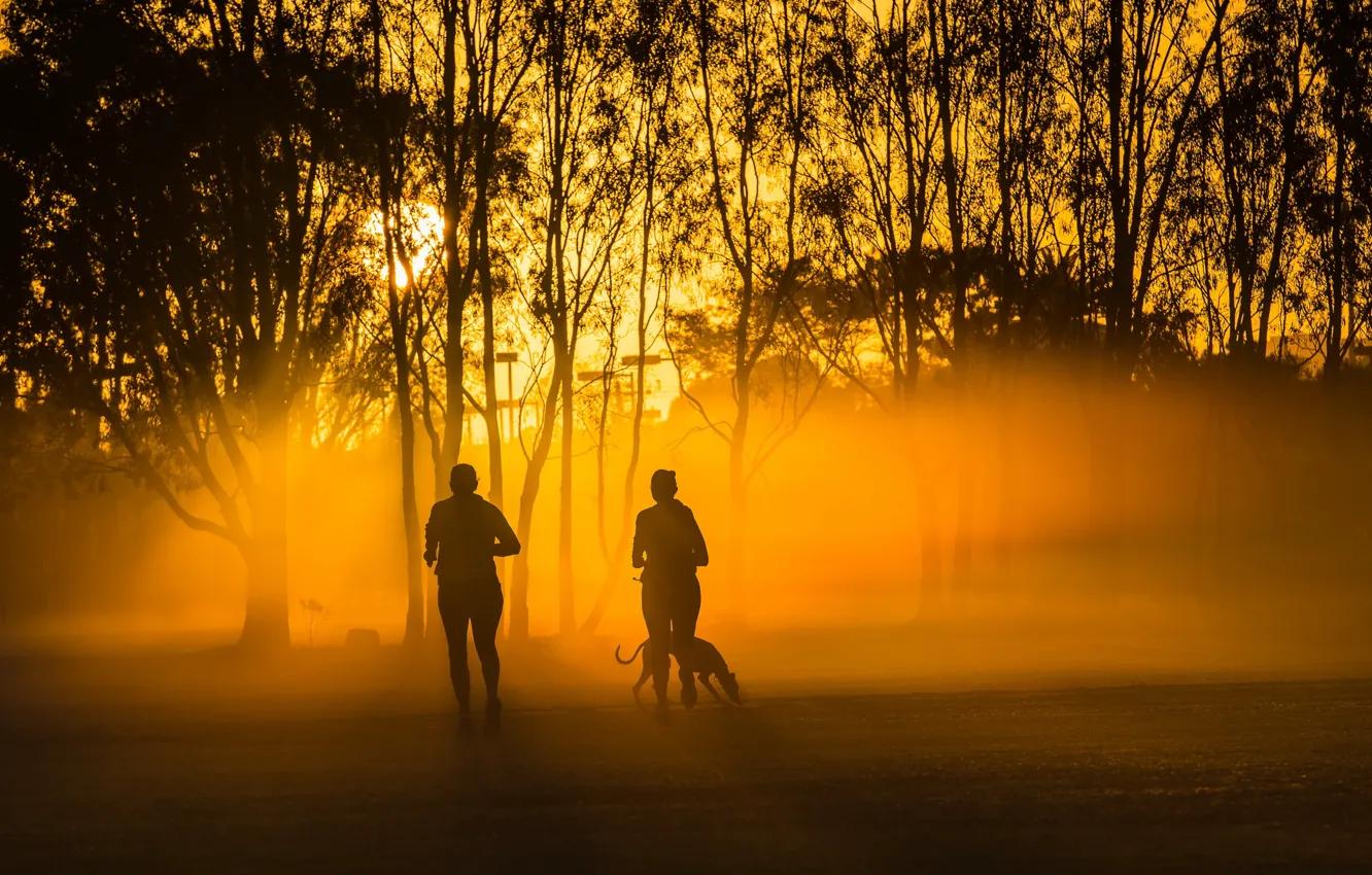 Фото обои город, туман, парк, утро, пробежка