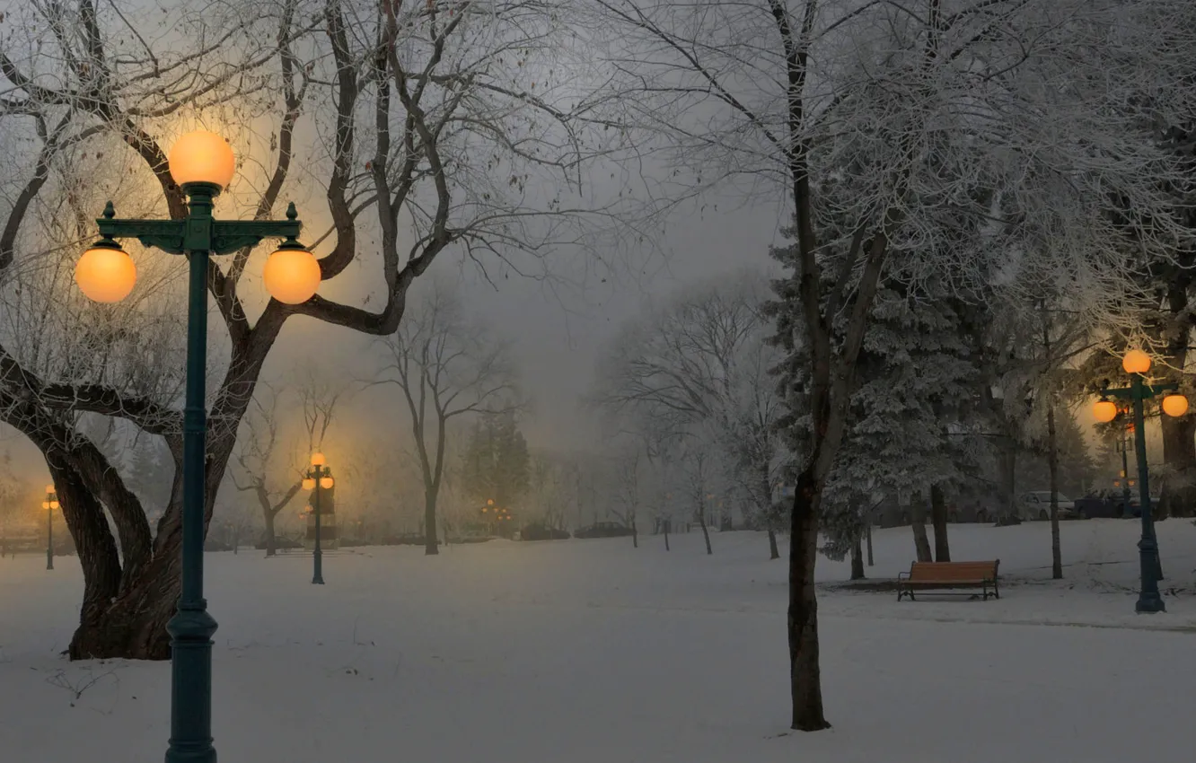 Фото обои свет, снег, парк, Зима, фонари, скамейки
