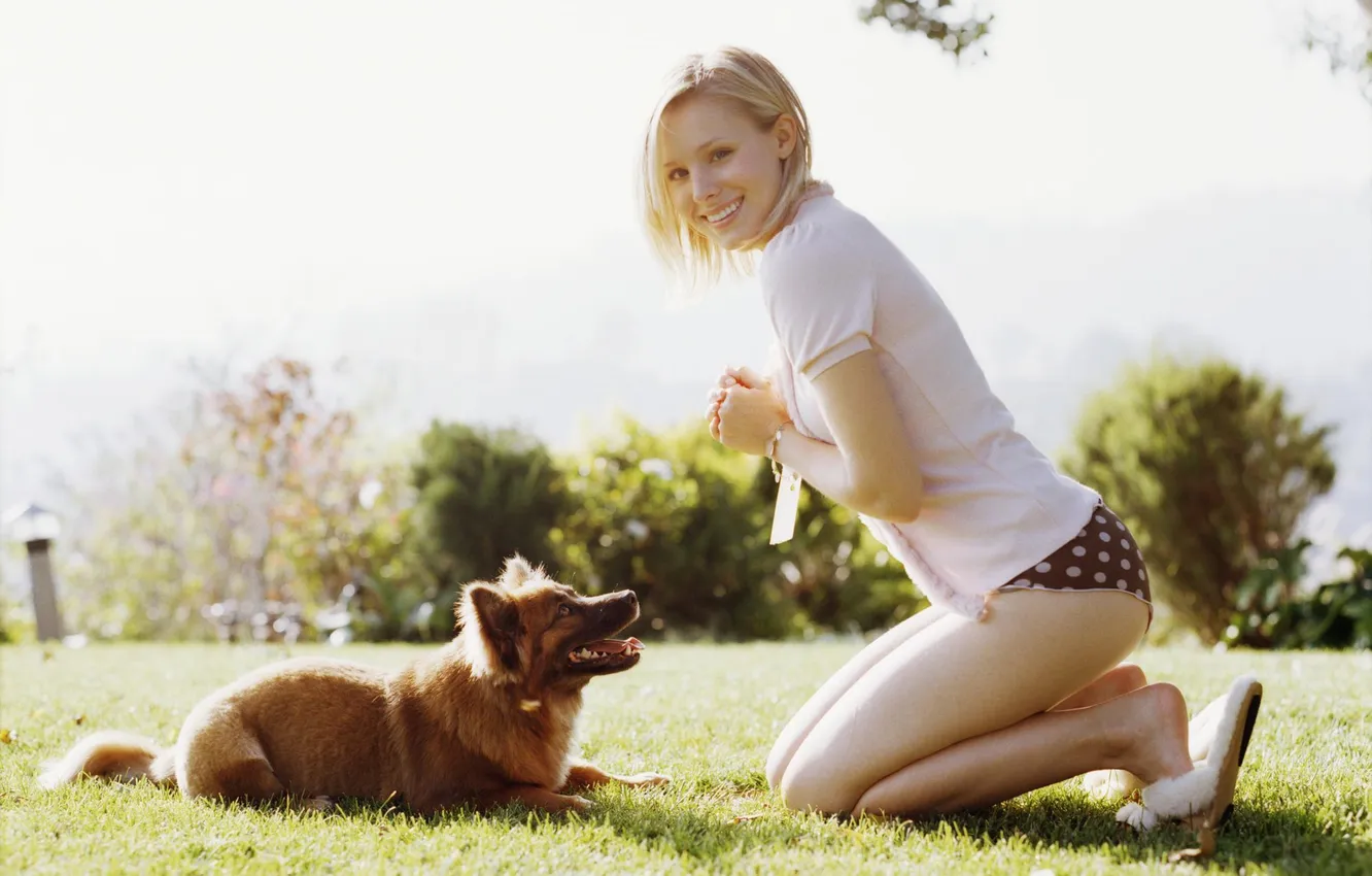 Фото обои трусики, собака, Kristen Bell, Кристен Бэлл