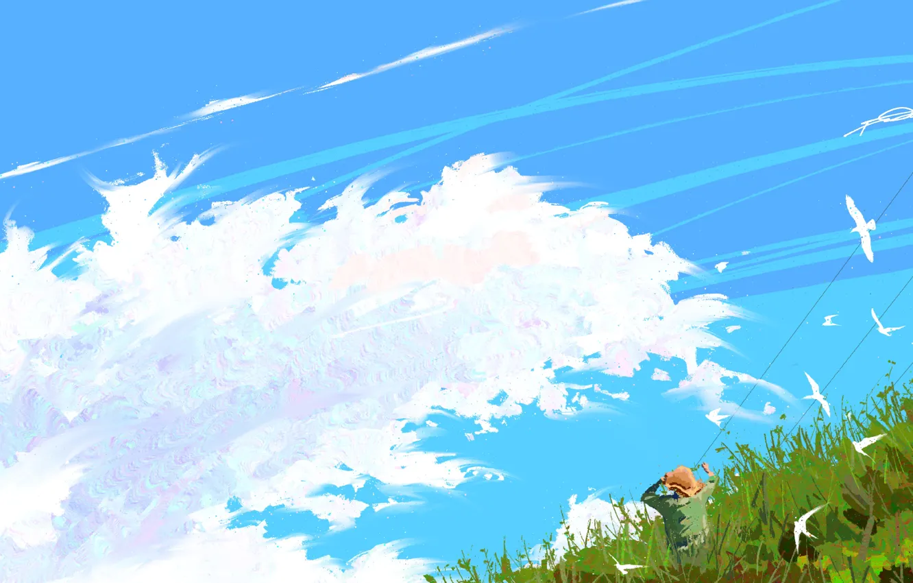 Фото обои небо, трава, птицы, мужчина