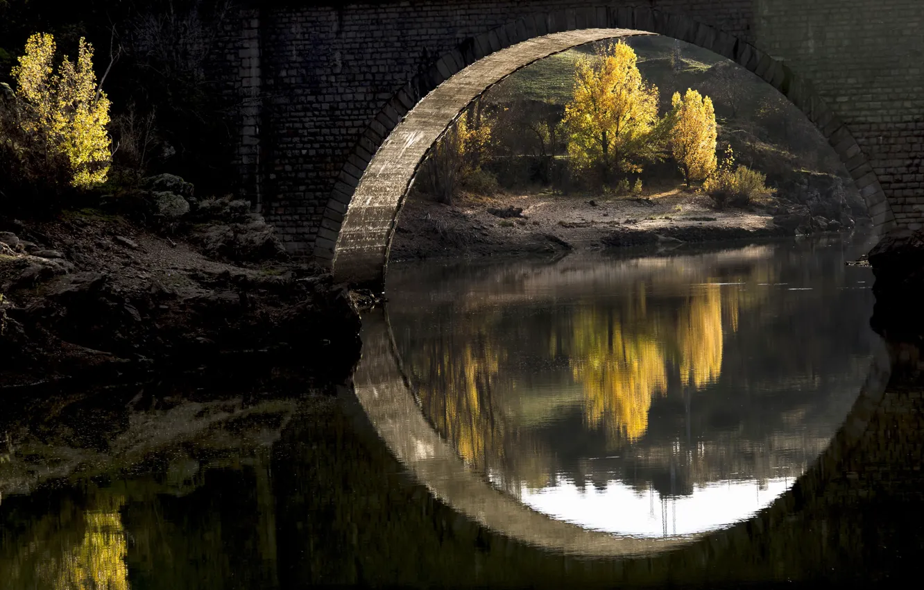 Фото обои свет, деревья, мост, природа, река