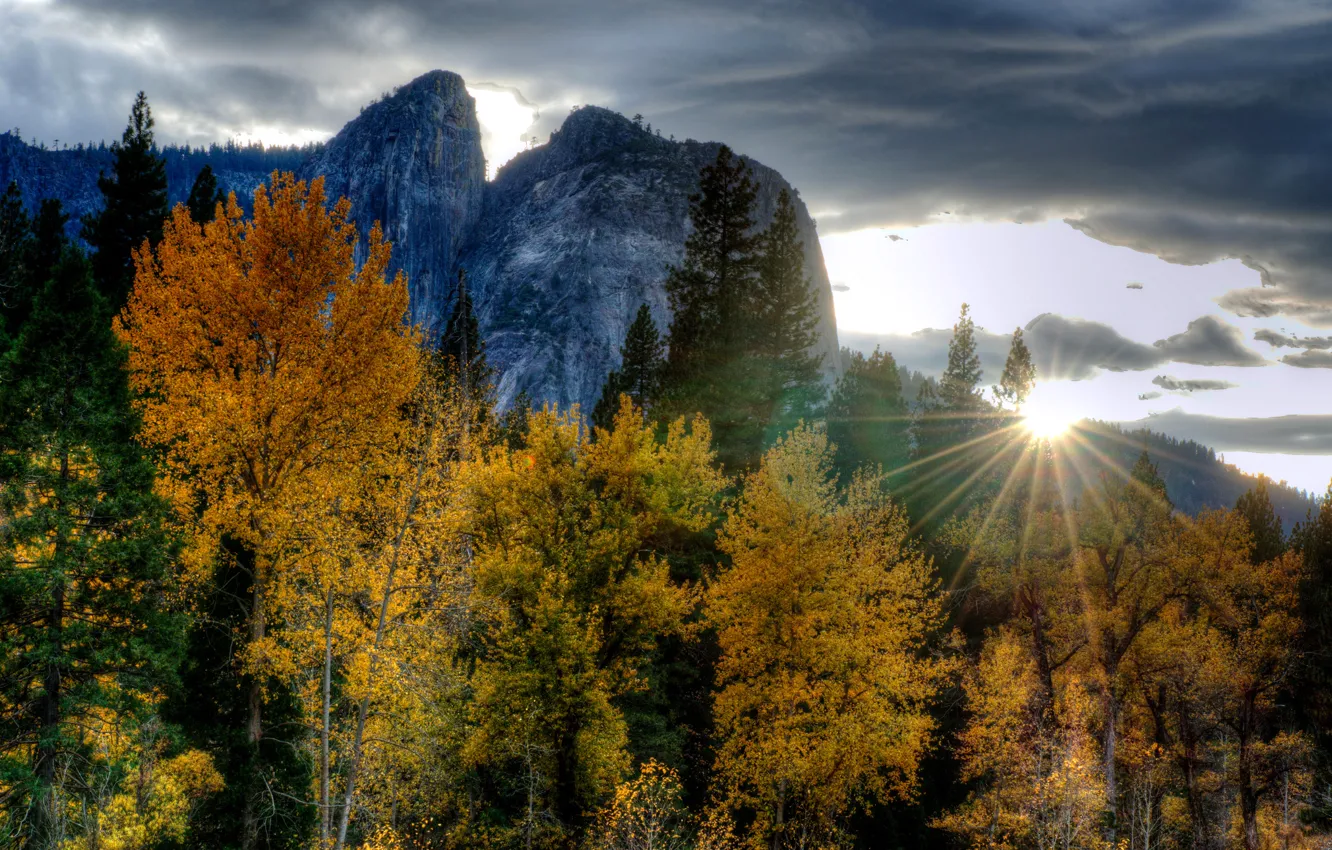 Фото обои осень, лес, лучи, деревья, закат, горы, hdr, Калифорния