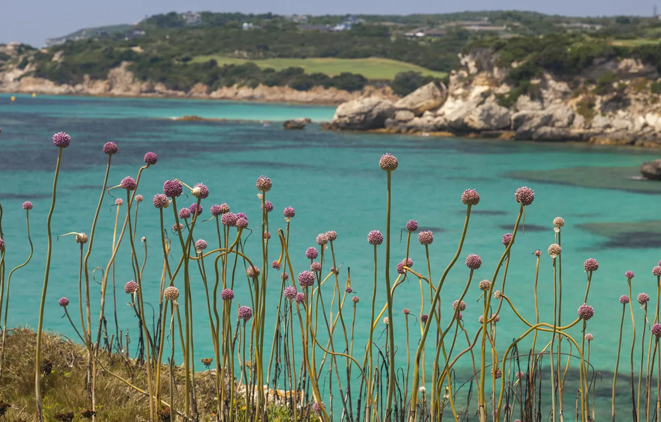 Фото обои море, скалы, Франция, растение, лук, Корсика, Бонифачо