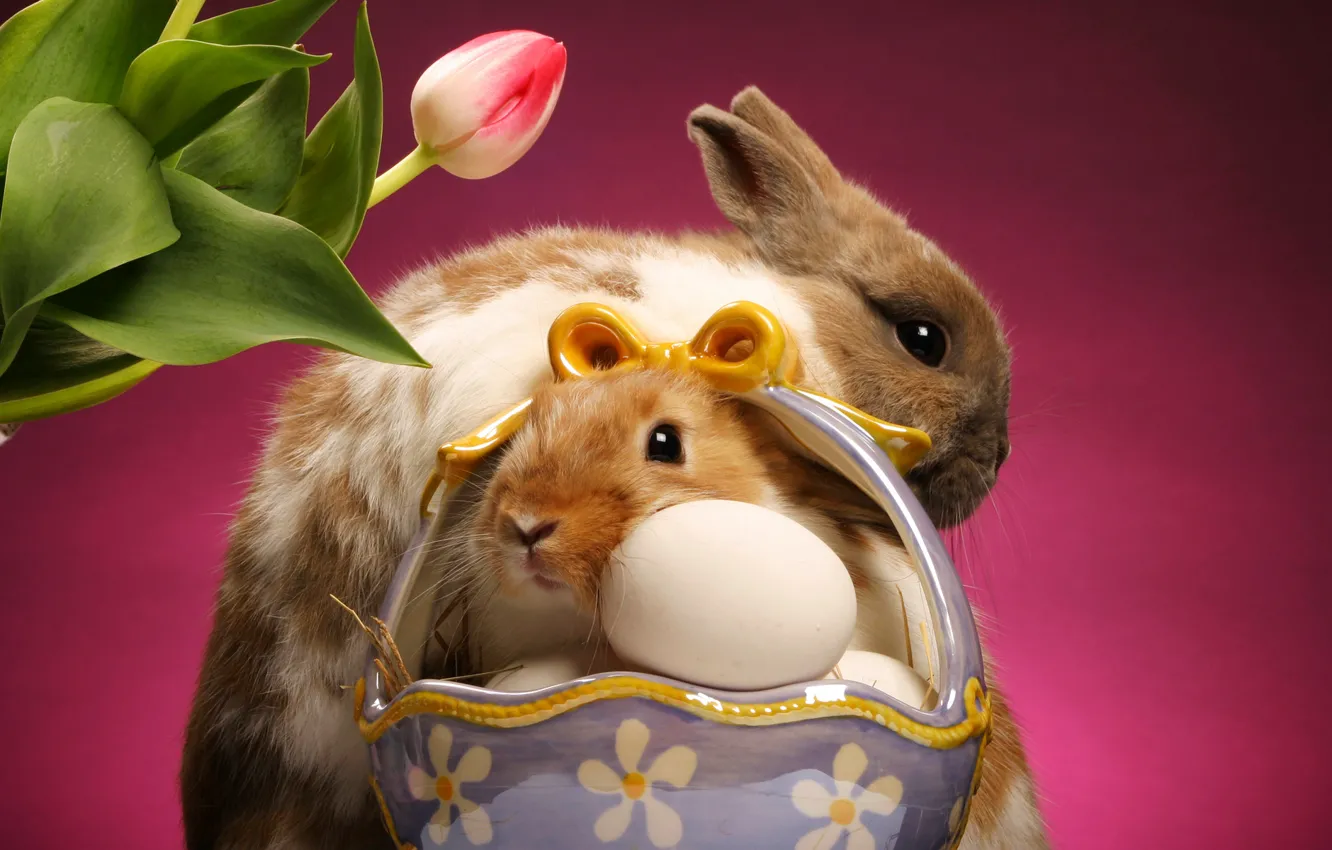 Фото обои тюльпан, яйца, кролики, корзинка