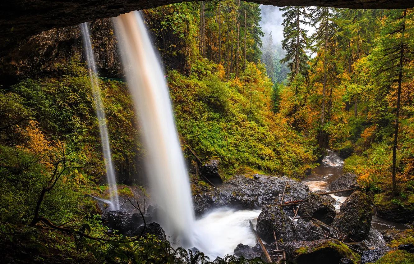 Фото обои осень, лес, природа, водопад, State Park Oregon