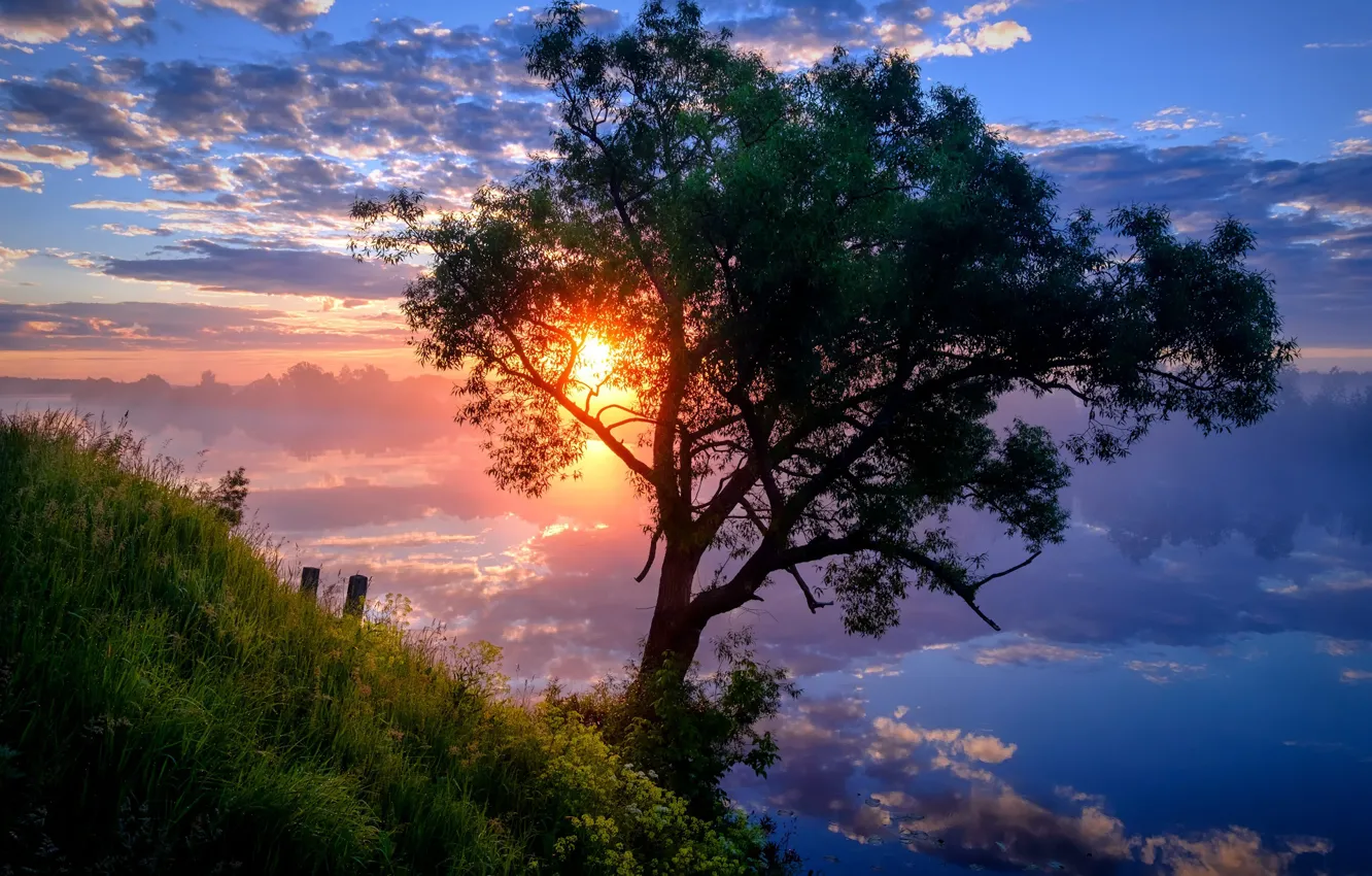 Фото обои солнце, облака, пейзаж, природа, отражение, река, дерево, рассвет