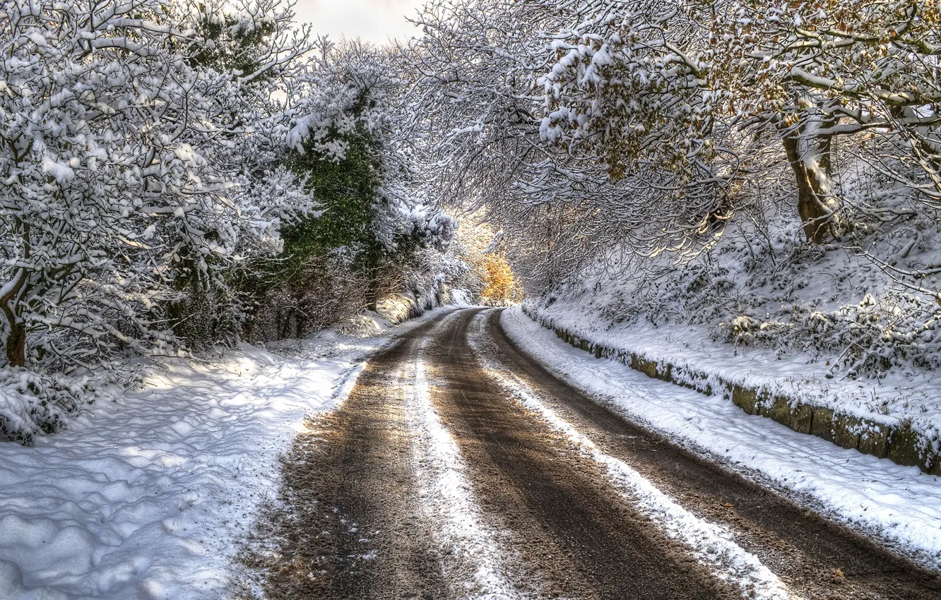 Фото обои зима, дорога, снег, деревья, HDR, trees, winter