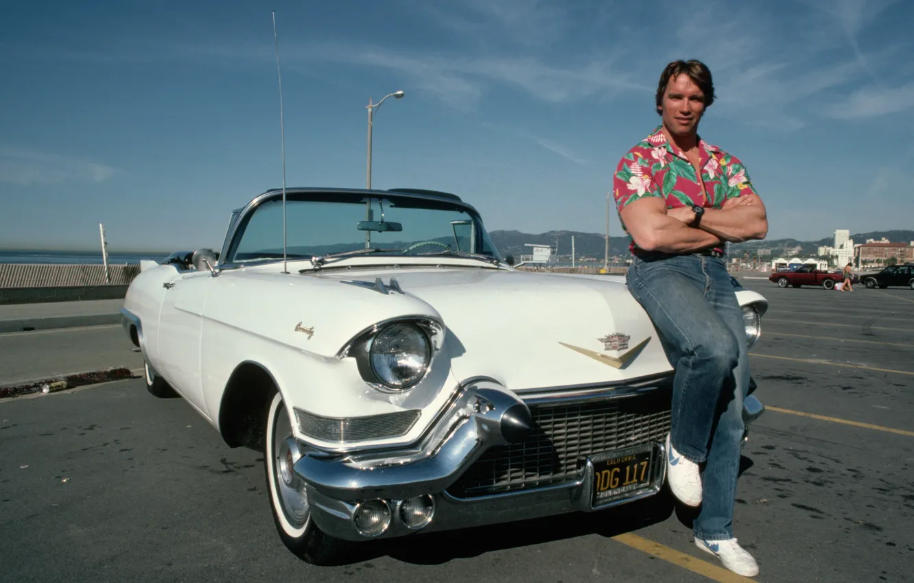 Фото обои машина, мужик, Актер, Арнольд Шварценеггер, Продюсер, Режиссер, Arnold Schwarzenegger, Vintage Cadillac Convert