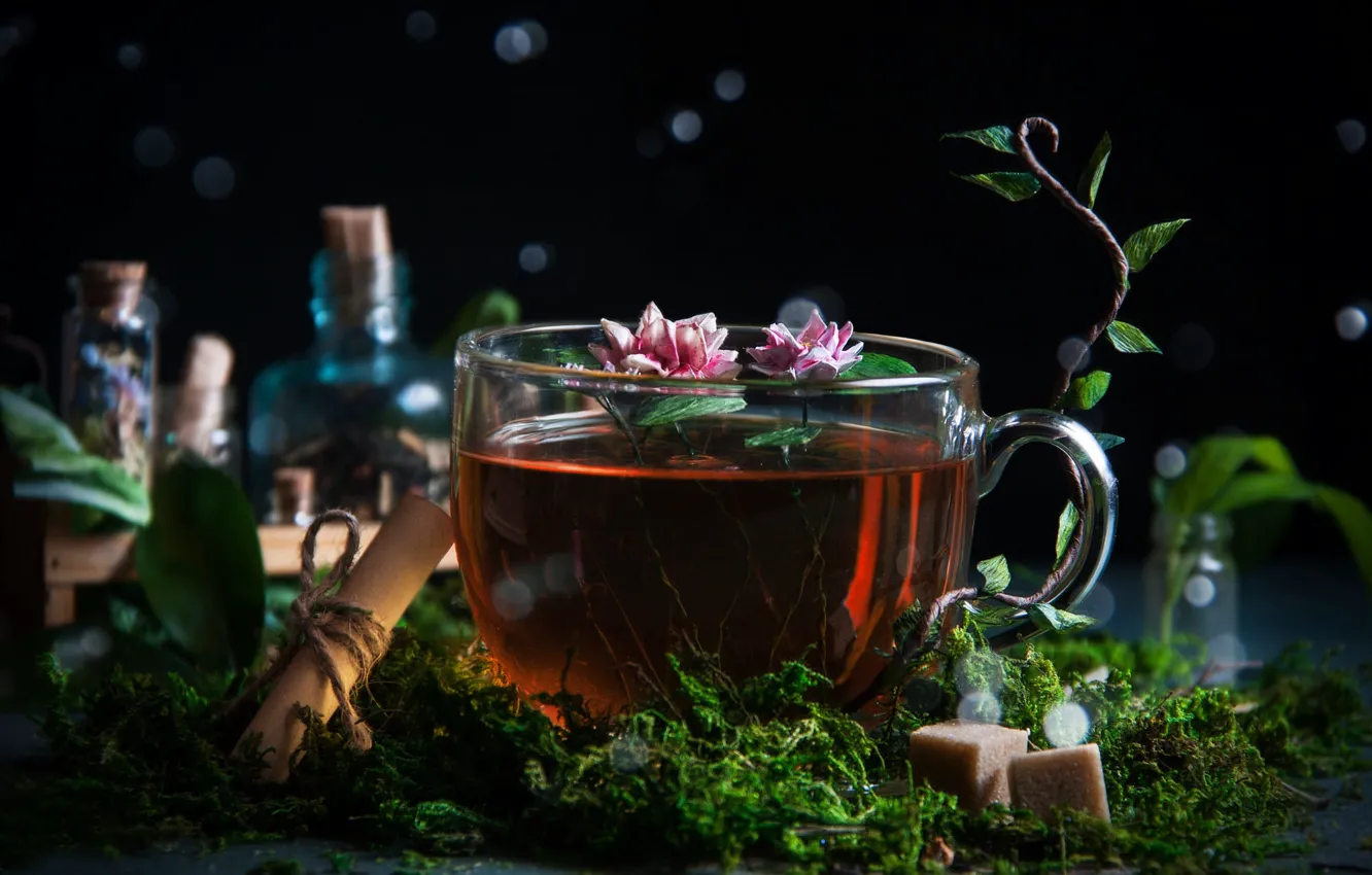 Фото обои цветы, пузырьки, чай, мох, чашка, сахар, боке, свиток