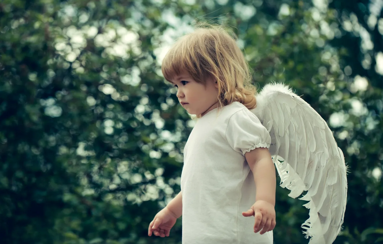 Фото обои крылья, ангел, малыш