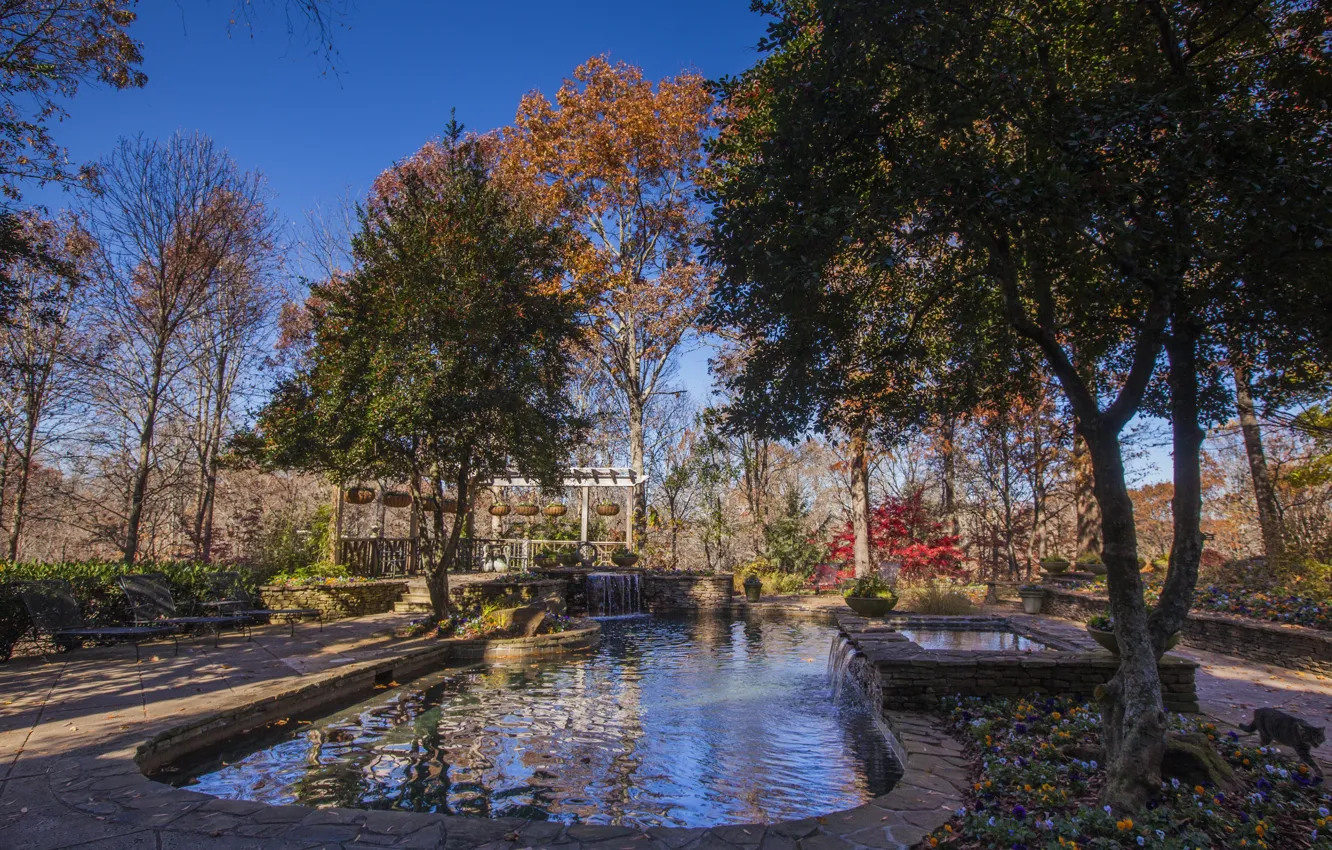 Фото обои осень, небо, деревья, пруд, парк, сад, USA, США