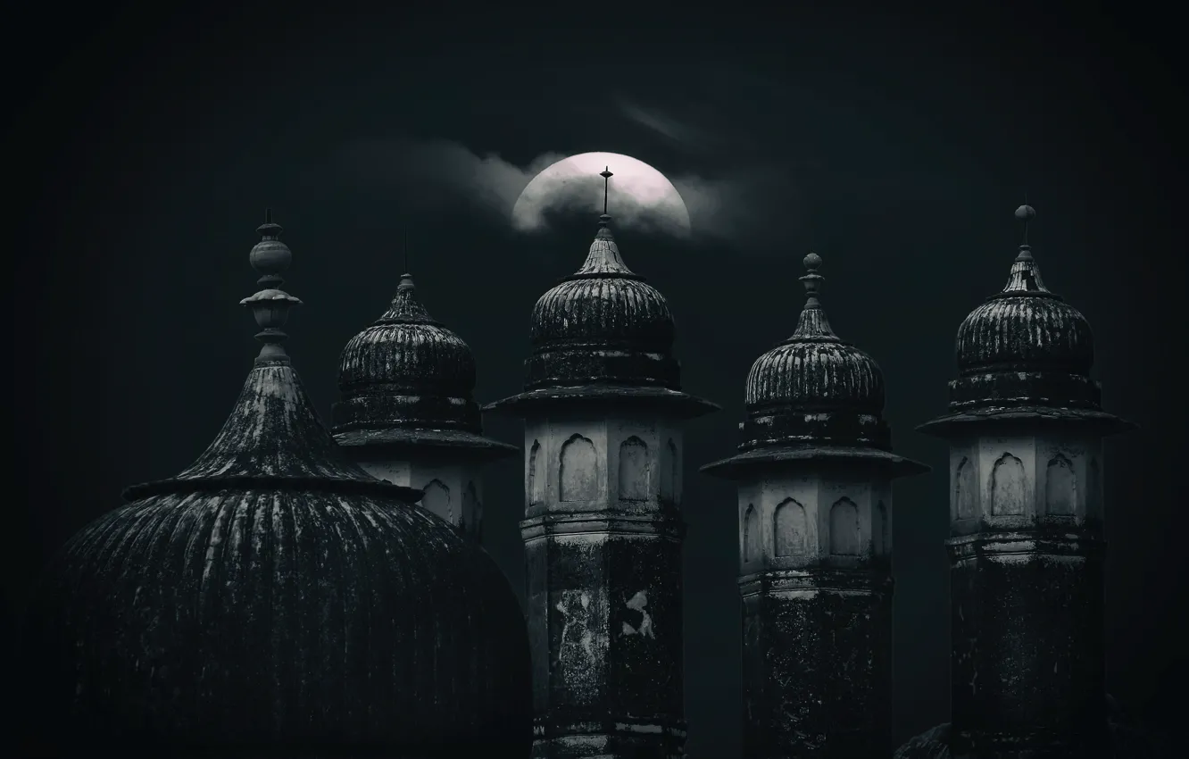 Фото обои ночь, луна, башни, купола, Биканер