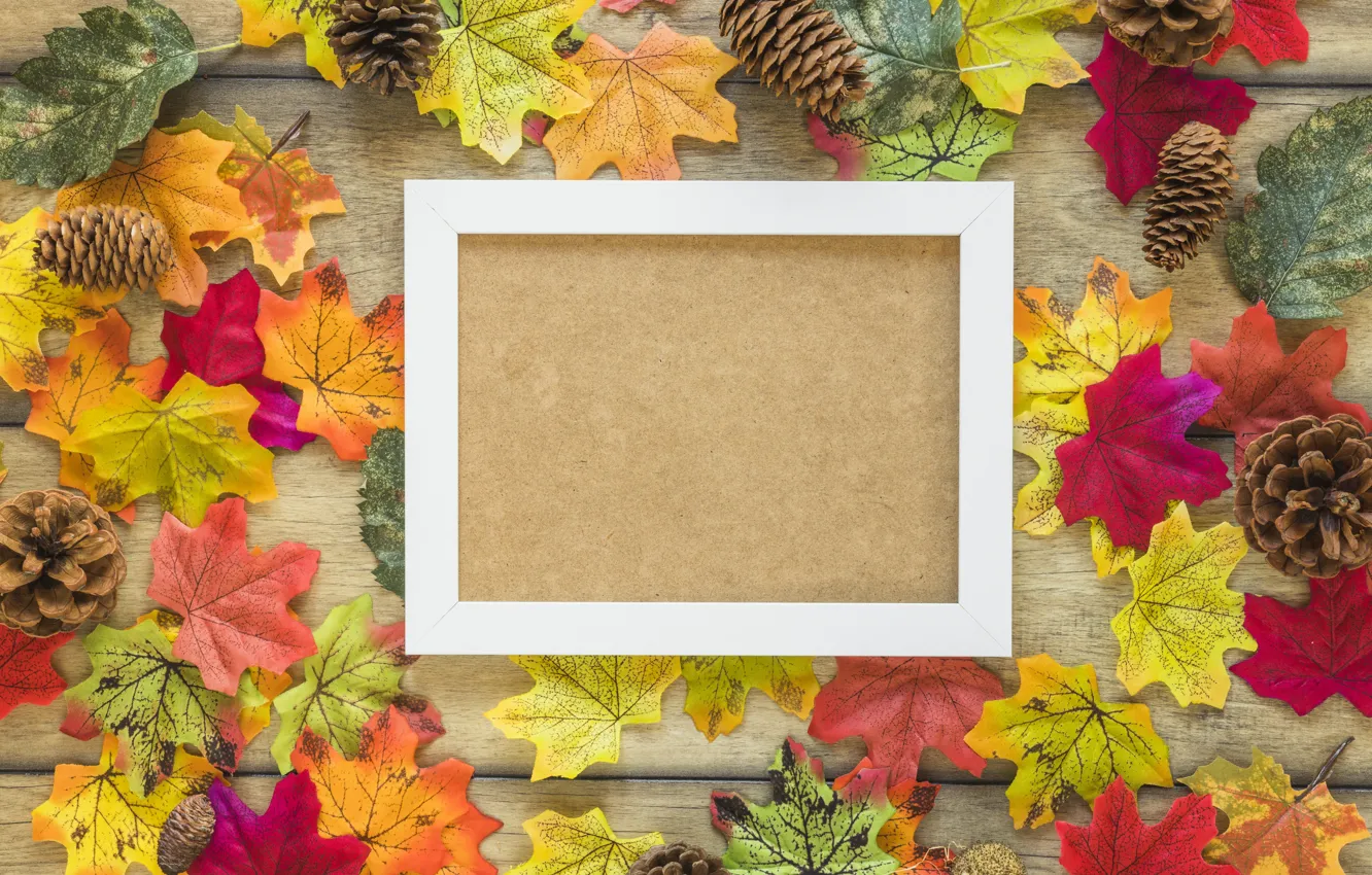Фото обои осень, листья, фон, дерево, рамка, colorful, клен, wood