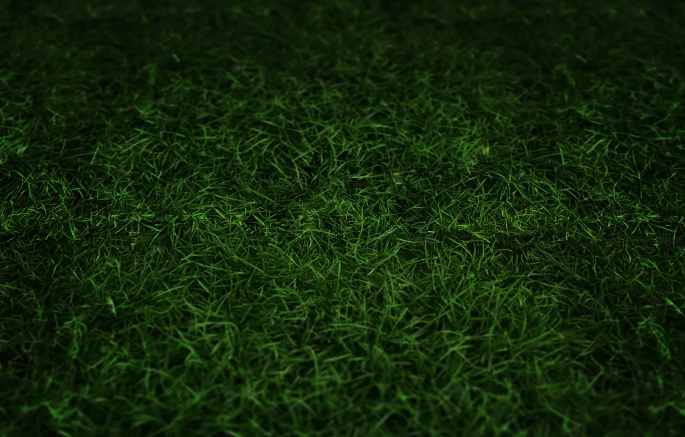 Фото обои трава, природа, темнота, тона, затемнение, компьютерная графика