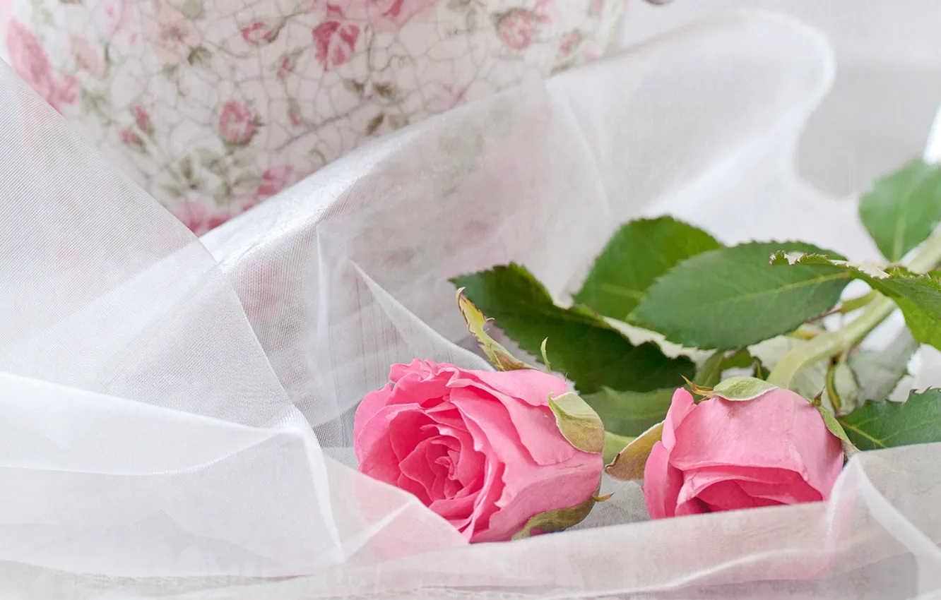 Фото обои розы, Pink, Roses