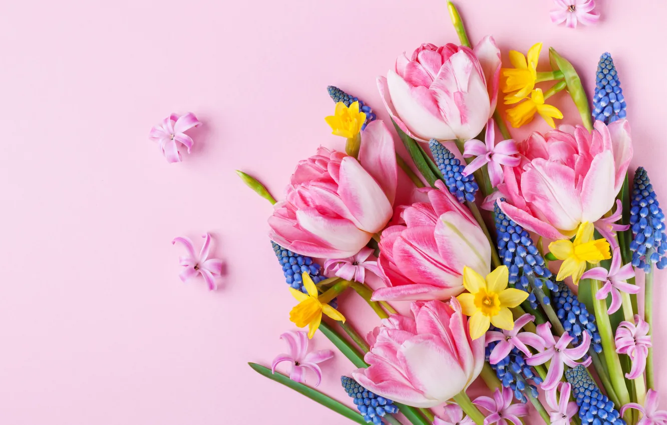 Фото обои цветы, букет, colorful, тюльпаны, розовые, pink, flowers, beautiful