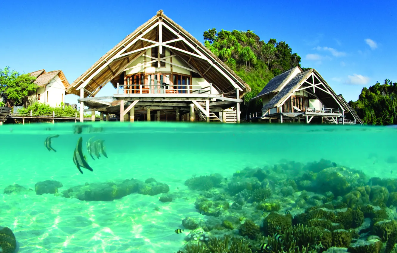Фото обои вода, прозрачность, рыбы, океан, курорт, лагуна, under the lagoon
