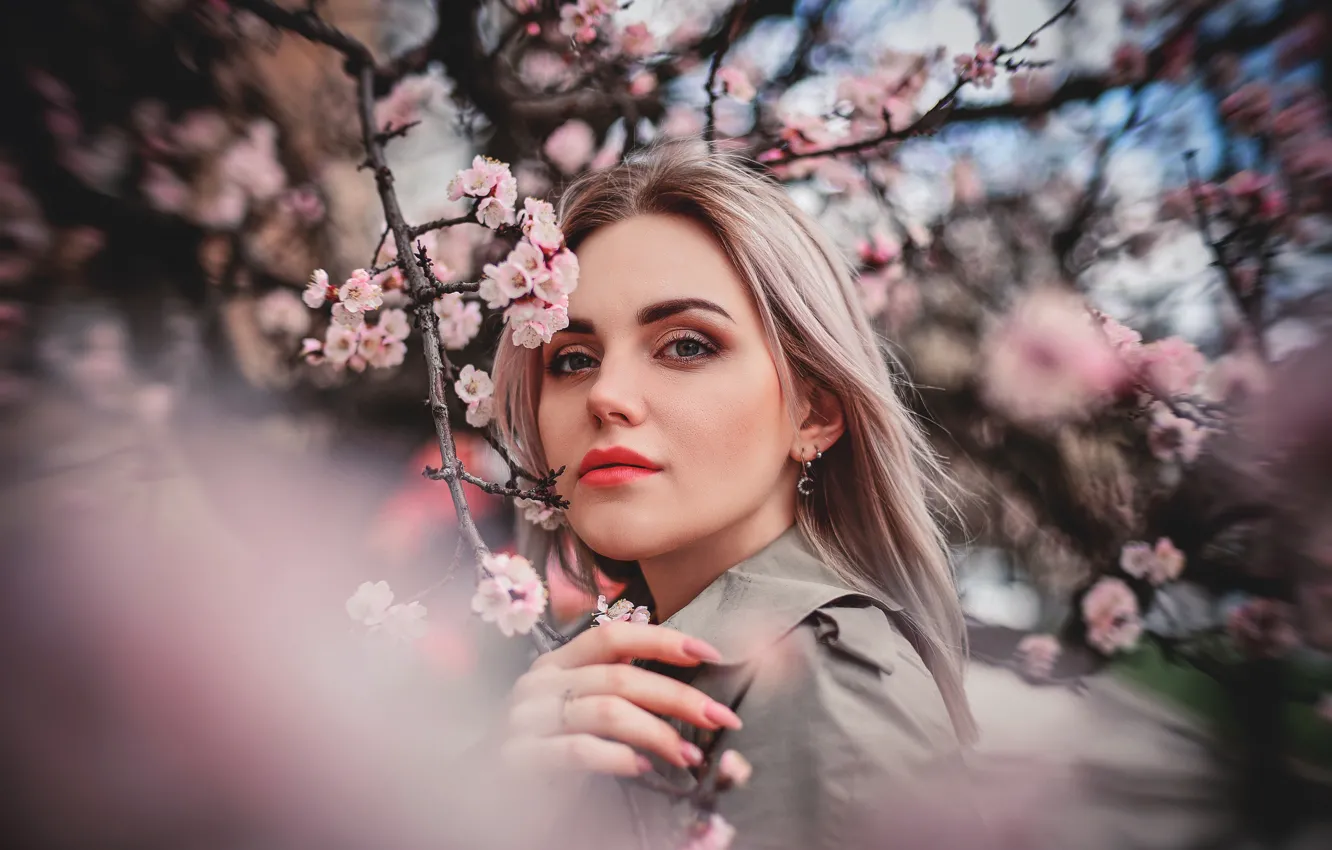 Фото обои взгляд, девушка, ветки, природа, весна, блондинка, цветение, Анастасия Донская