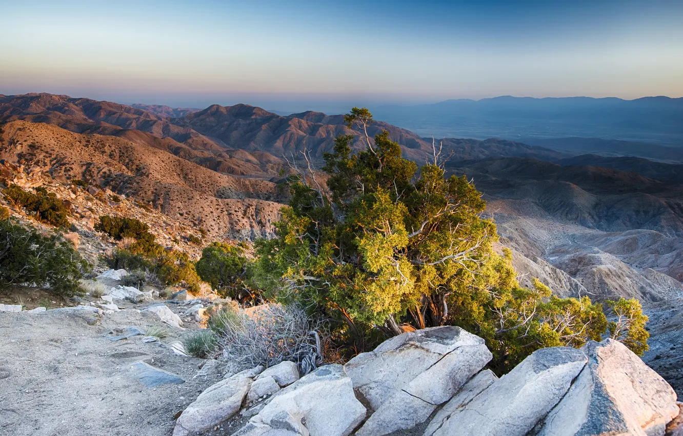 Фото обои горы, камни, пустыня, кусты, California, Joshua Tree National Park, US., Coachella Valley