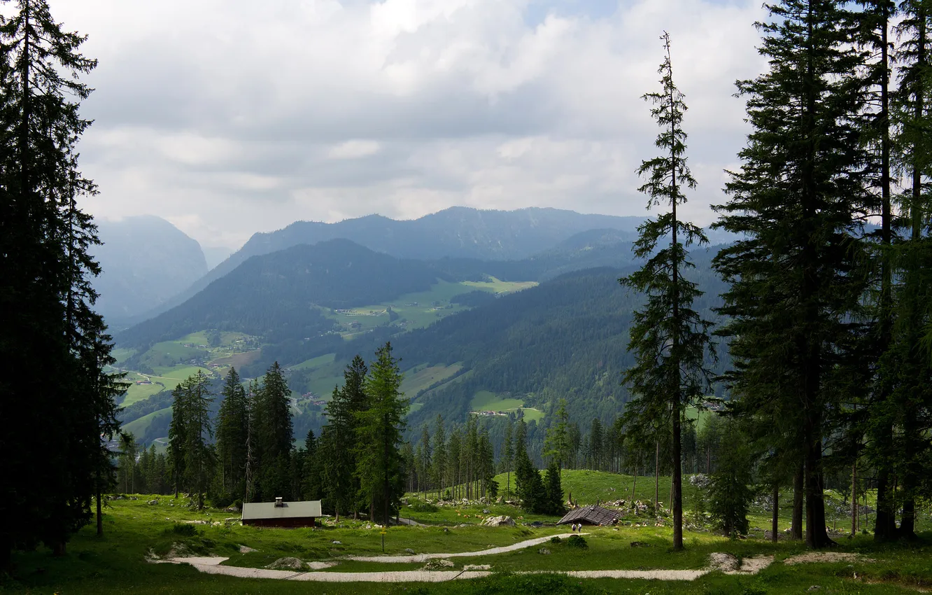 Фото обои лето, горы, ели, долина, германия
