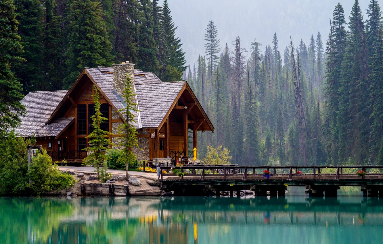 Фото обои лес, мост, природа, озеро, Канада, Canada, коттедж, lake