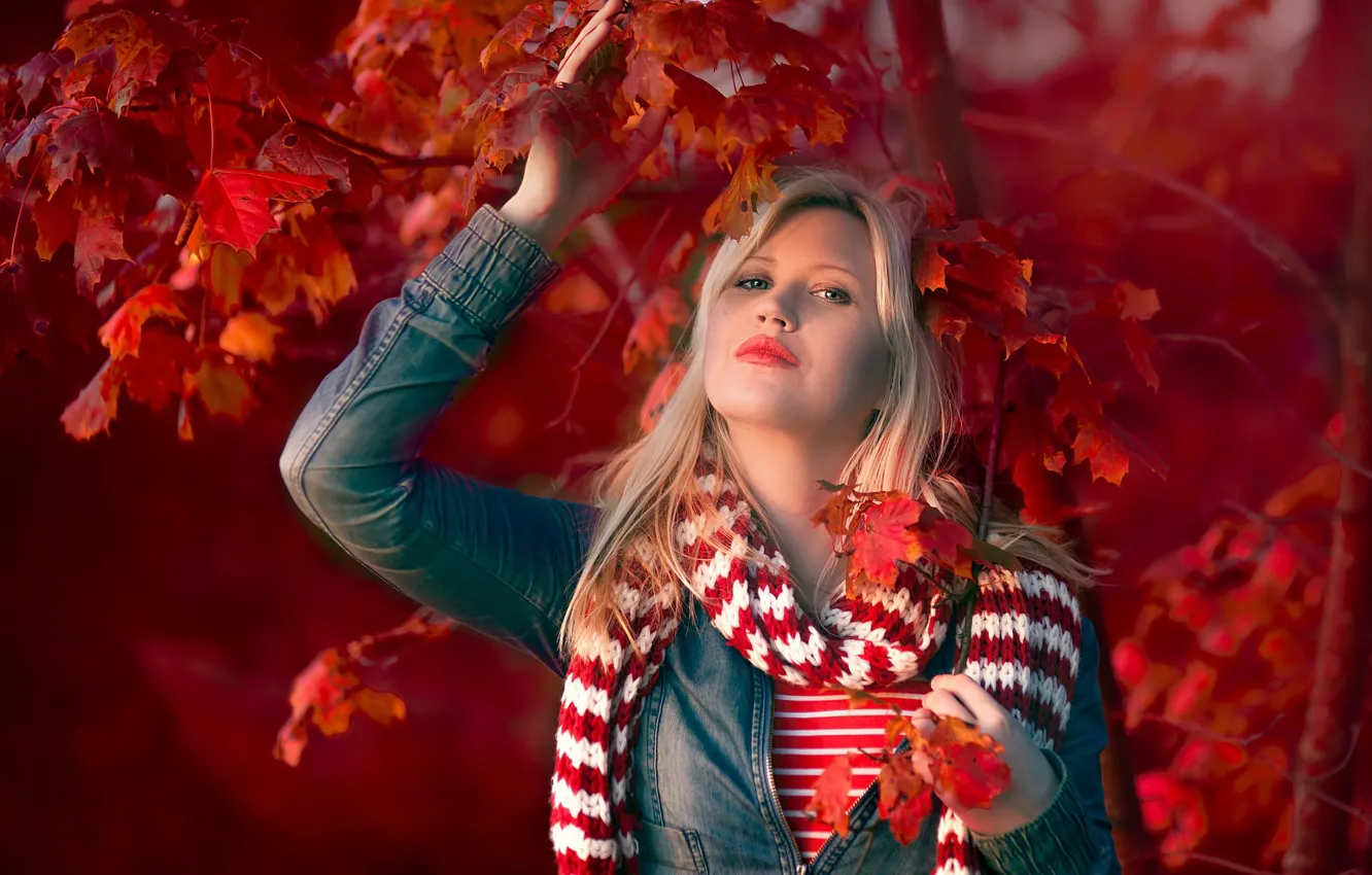 Фото обои осень, листья, девушка, ветки, блондинка, боке