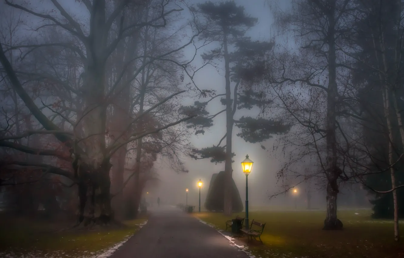 Фото обои trees, park, people, fog, path, foggy, benches, lamp posts