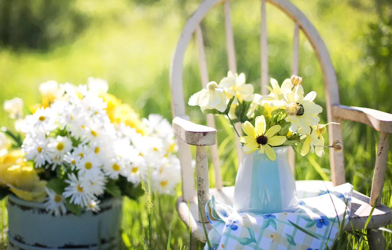Фото обои лето, трава, цветы, природа, ромашки, стул, ваза, бочка