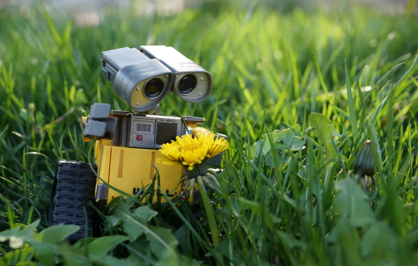 Фото обои цветок, трава, природа, одуванчик, газон, игрушка, робот, toy
