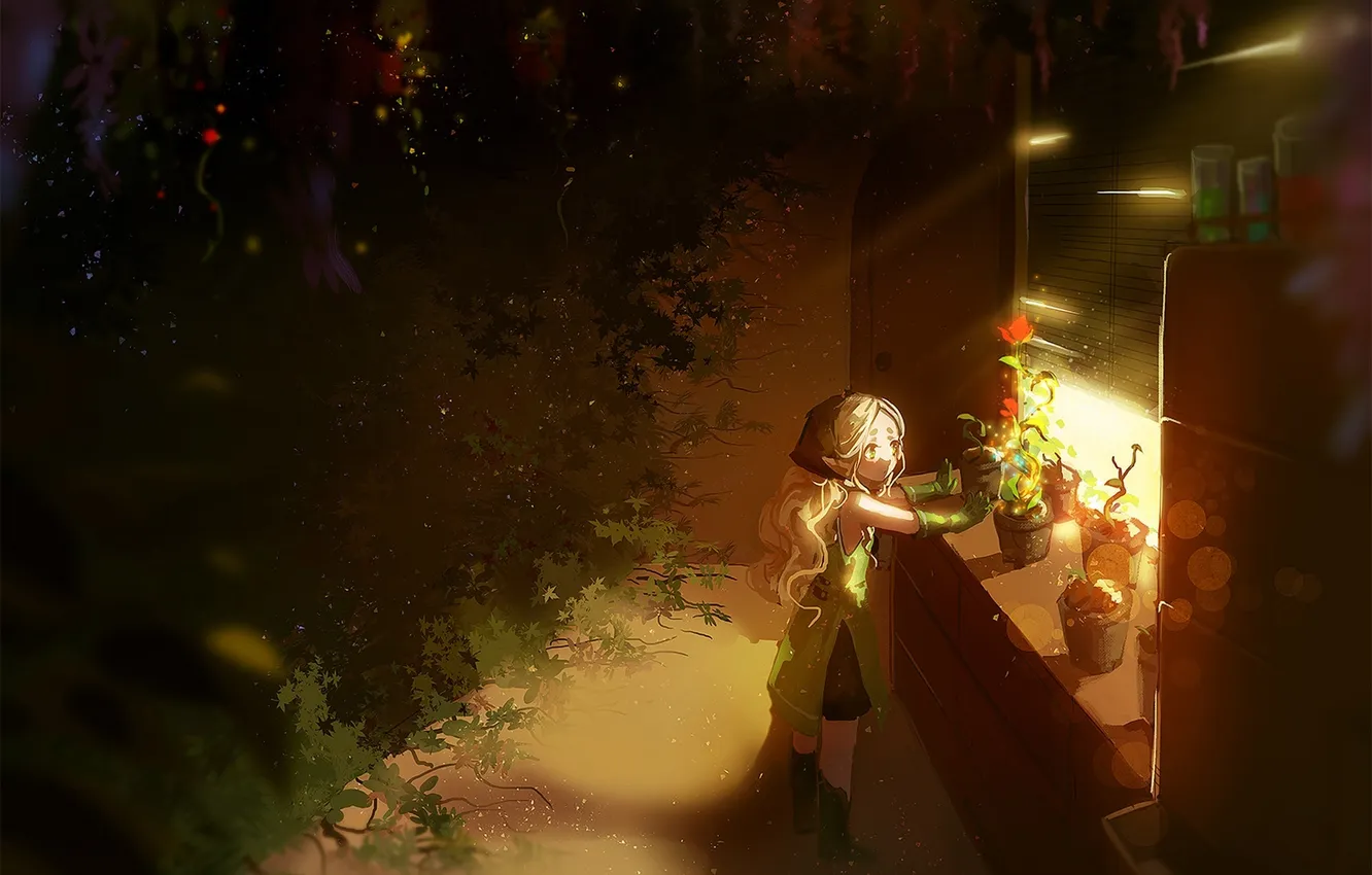 Фото обои девушка, свет, деревья, цветы, ночь, аниме, окно, арт